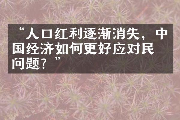 “人口红利逐渐消失，经济如何更好应对民生问题？”