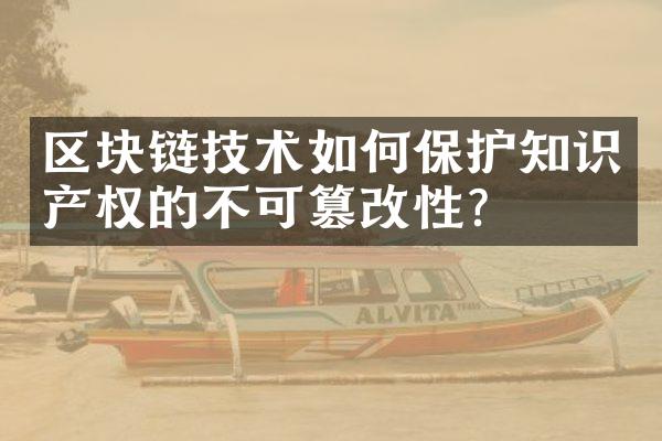 区块链技术如何保护知识产权的不可篡改性？