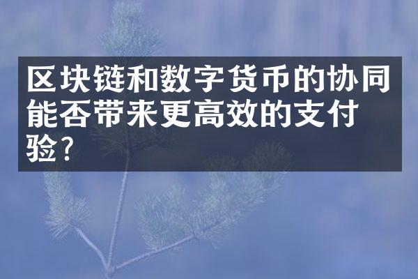 区块链和数字货币的协同能否带来更高效的支付体验？