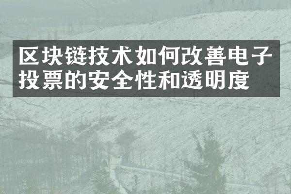 区块链技术如何改善电子投票的安全性和透明度？