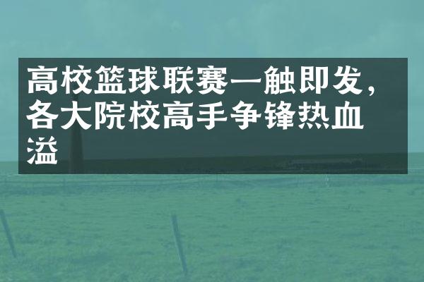 高校篮球联赛一触即发，各院校高手争锋热血洋溢