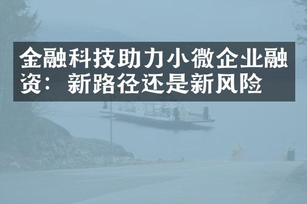 金融科技助力小微企业融资：新路径还是新风险？