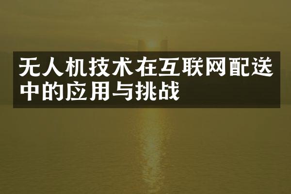 无人机技术在互联网配送中的应用与挑战