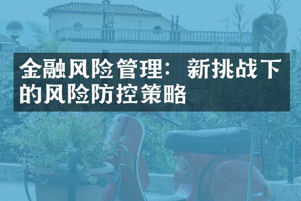 金融风险管理：新挑战下的风险防控策略