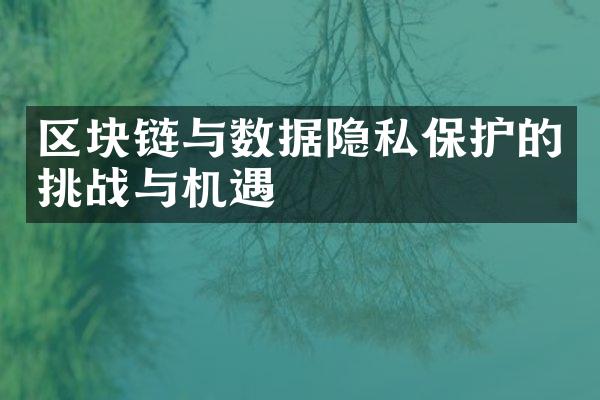 区块链与数据隐私保护的挑战与机遇