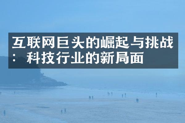 互联网巨头的崛起与挑战：科技行业的新局面