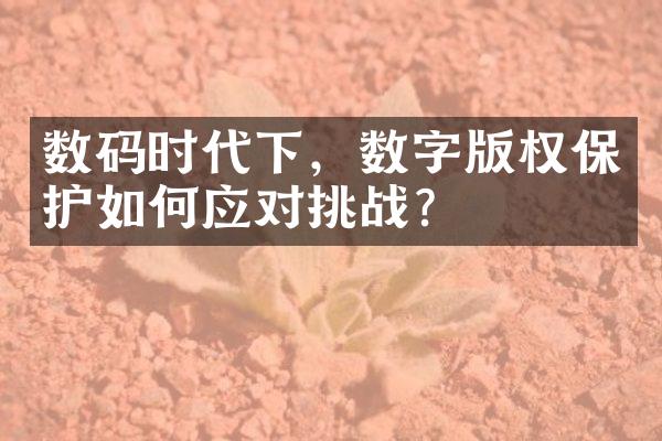 数码时代下，数字版权保护如何应对挑战？