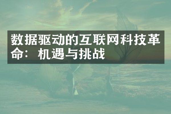 数据驱动的互联网科技革命：机遇与挑战