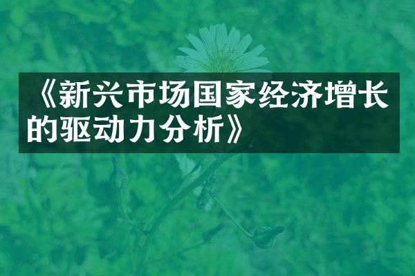 《新兴市场国家经济增长的驱动力分析》