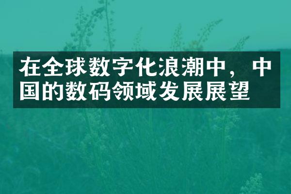 在全球数字化浪潮中，中国的数码领域发展展望