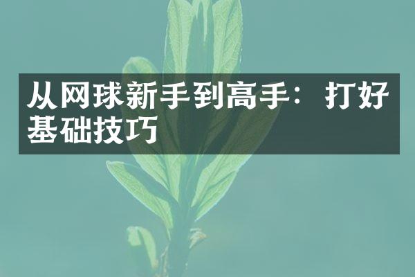 从网球新手到高手：打好基础技巧