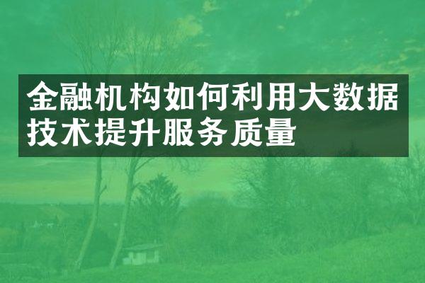 金融机构如何利用大数据技术提升服务质量