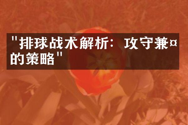 "排球战术解析：攻守兼备的策略"