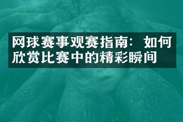 网球赛事观赛指南：如何欣赏比赛中的精彩瞬间