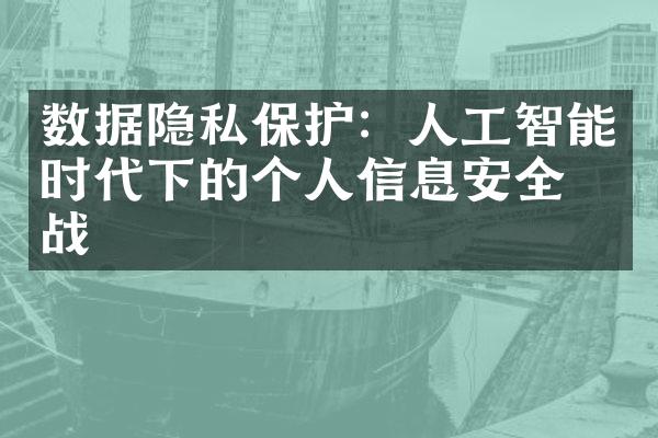 数据隐私保护：人工智能时代下的个人信息安全挑战