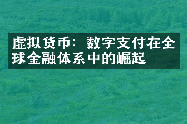 虚拟货币：数字支付在全球金融体系中的崛起