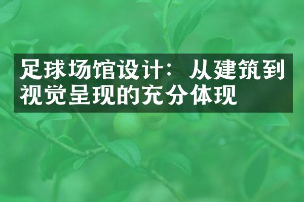 足球场馆设计：从建筑到视觉呈现的充分体现