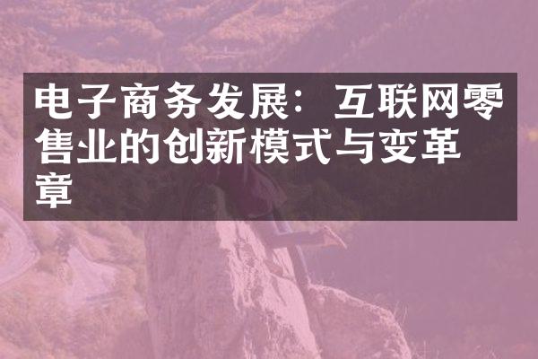 电子商务发展：互联网零售业的创新模式与变革篇章