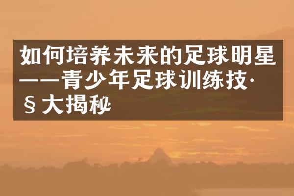 如何培养未来的足球明星——青少年足球训练技巧揭秘