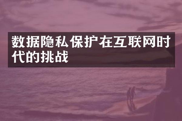 数据隐私保护在互联网时代的挑战