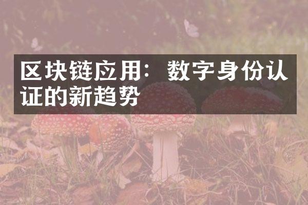 区块链应用：数字身份认证的新趋势