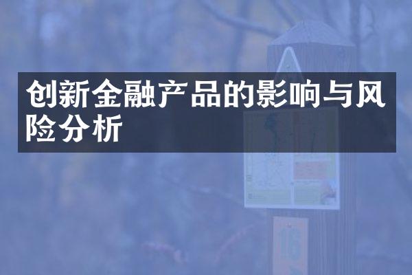 创新金融产品的影响与风险分析