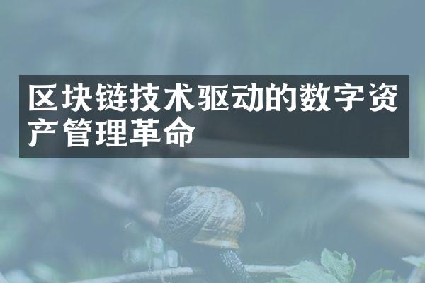 区块链技术驱动的数字资产管理革命