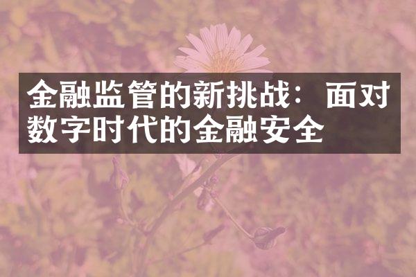 金融监管的新挑战：面对数字时代的金融安全