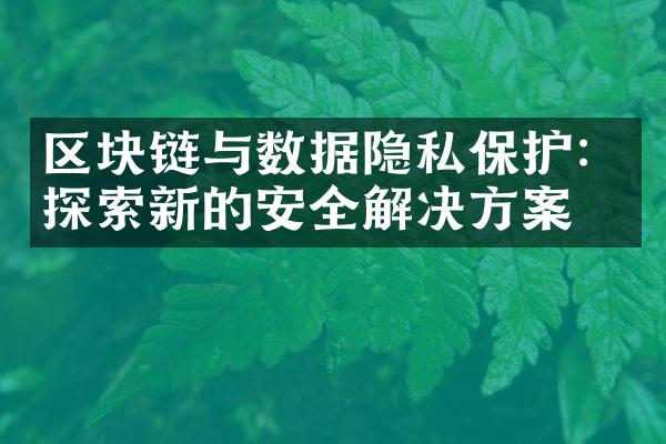 区块链与数据隐私保护：探索新的安全解决方案