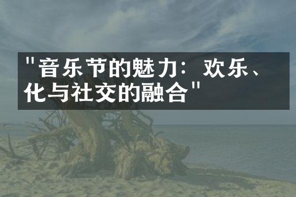 "音乐节的魅力：欢乐、文化与社交的融合"