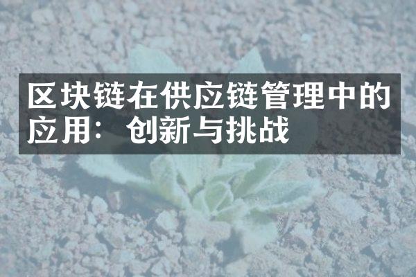 区块链在供应链管理中的应用：创新与挑战