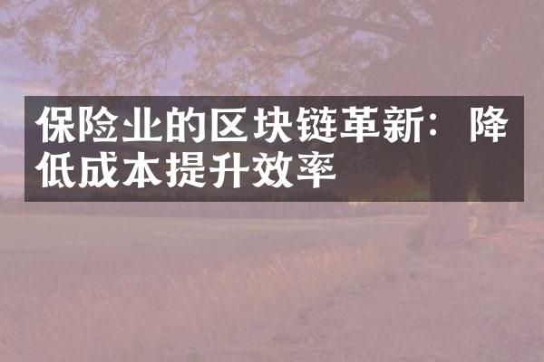 保险业的区块链革新：降低成本提升效率