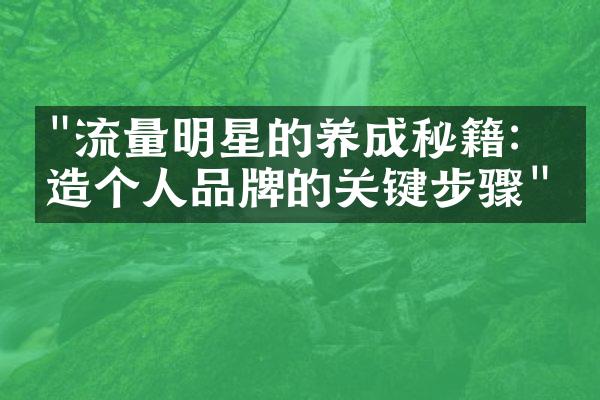 "流量明星的养成秘籍：打造个人品牌的关键步骤"