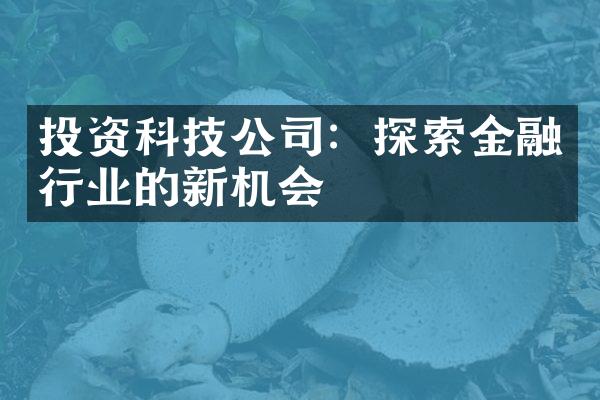 投资科技公司：探索金融行业的新机会