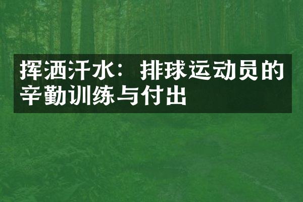 挥洒汗水：排球运动员的辛勤训练与付出