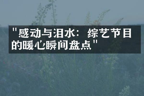 "感动与泪水：综艺节目中的暖心瞬间盘点"