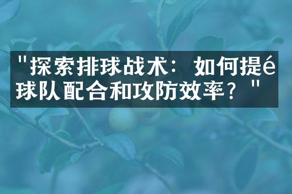 "探索排球战术：如何提高球队配合和攻防效率？"