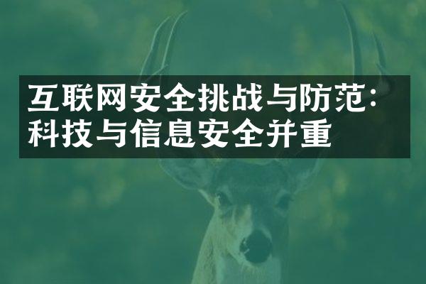 互联网安全挑战与防范：科技与信息安全并重