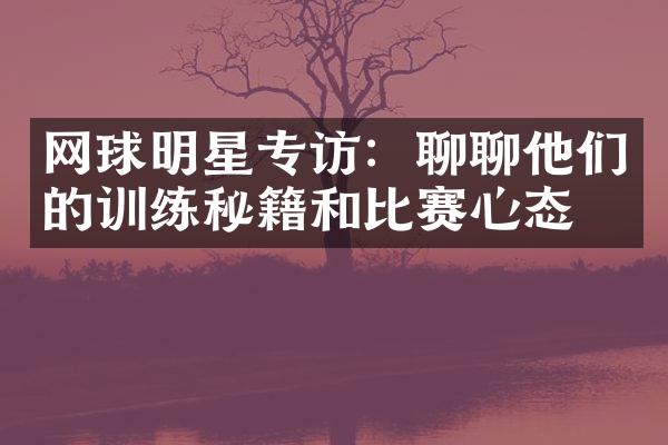 网球明星专访：聊聊他们的训练秘籍和比赛心态