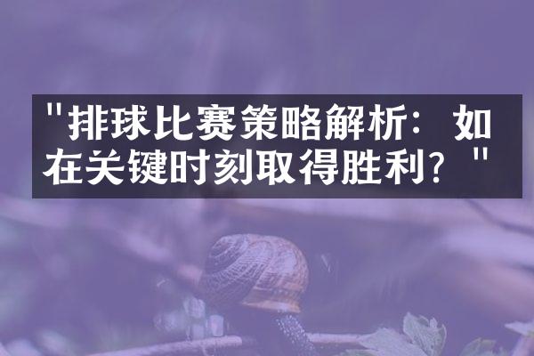 "排球比赛策略解析：如何在关键时刻取得胜利？"