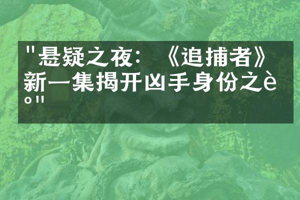 "悬疑之夜：《追捕者》最新一集揭开凶手身份之谜"