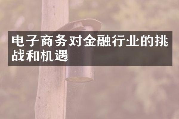 电子商务对金融行业的挑战和机遇