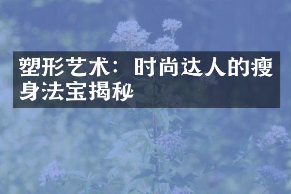 塑形艺术：时尚达人的瘦身法宝揭秘