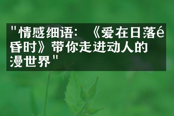 "情感细语：《爱在日落黄昏时》带你走进动人的浪漫世界"