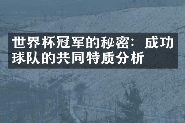 世界杯冠军的秘密：成功球队的共同特质分析