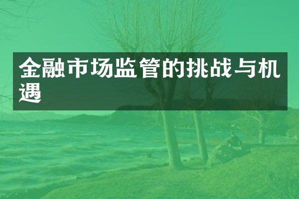 金融市场监管的挑战与机遇