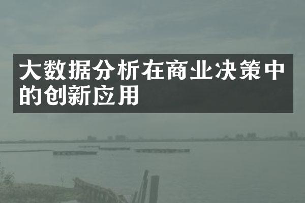 大数据分析在商业决策中的创新应用