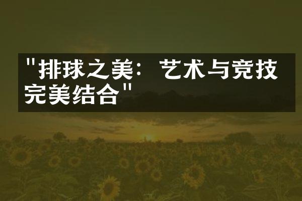 "排球之美：艺术与竞技的完美结合"