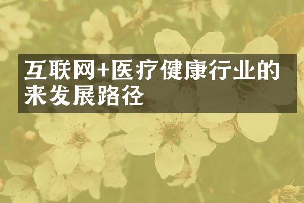 互联网+医疗健康行业的未来发展路径