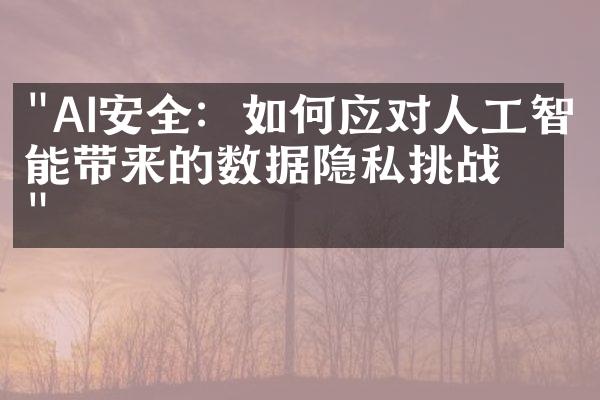 "AI安全：如何应对人工智能带来的数据隐私挑战？"